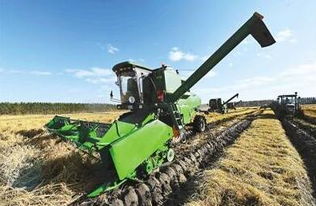 政府如何定位與發力 農業供給側改革中的初級農產品之策